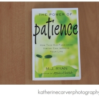 Good Read: The Power of Patience by M.J. Ryan