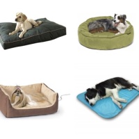 Dog Beds: Finding the Right One for Your Furry Family Member